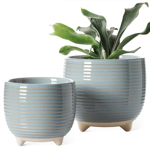 LE TAUCI Modern Ceramic Plant Pots