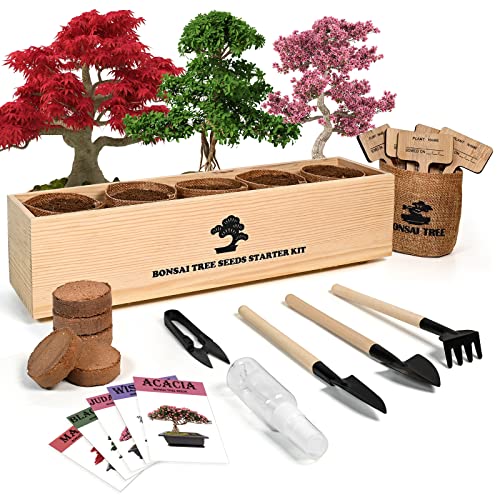 Meekear Bonsai Tree Starter Kit: Perfect DIY Gift for Adults