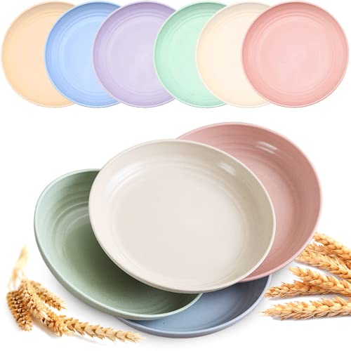 Mfacoy Unbreakable Dinner Plates