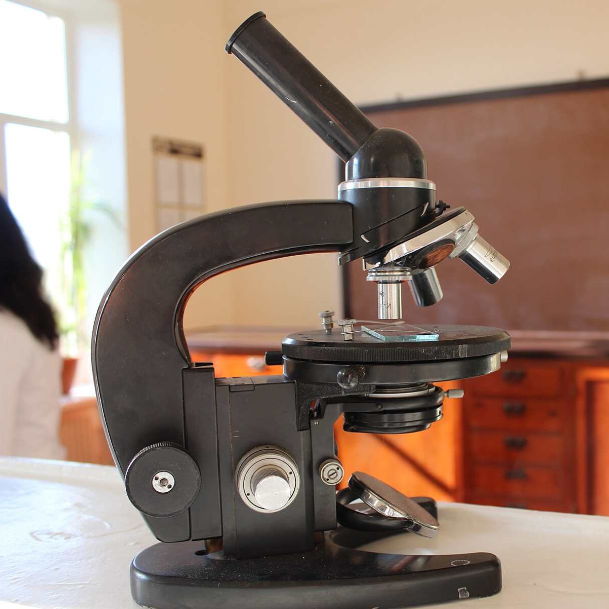 Microscope Review: The Perfect Tool for Her Scientific Exploration