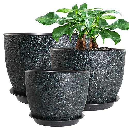 Modern Plant Pots with Drainage Holes