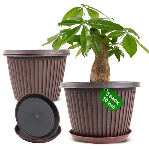 Modern Plastic Flower Pots with Saucer & Drainage Holes
