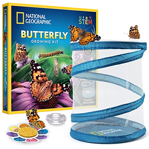 NATIONAL GEOGRAPHIC Butterfly Habitat Kit with 5 Caterpillar Voucher