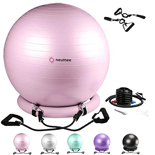 NEUMEE Pink Exercise Ball Chair