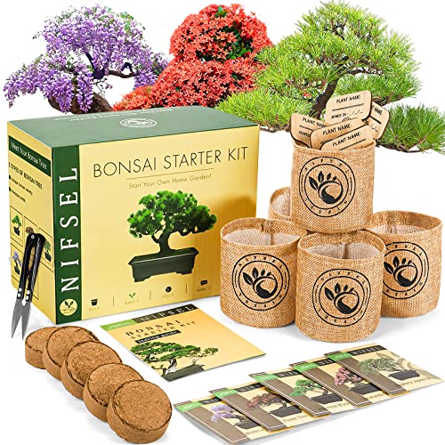NIFSEL Bonsai Growing Kit