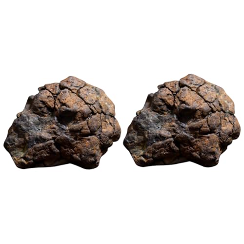NIYANGLE 2pcs Olive Meteorite Accessories