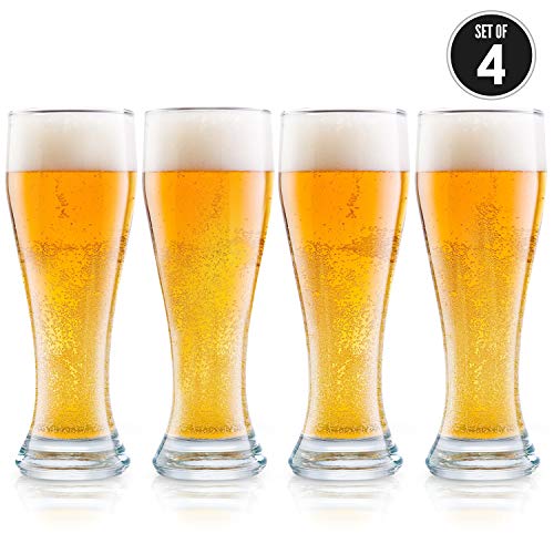 Nucleated Pilsner Glasses - 16 oz Craft Beer Glasses - 4 Pack