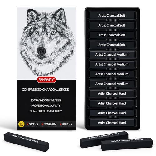 PANDAFLY 12pc Charcoal Drawing Set for Sketching & Shading