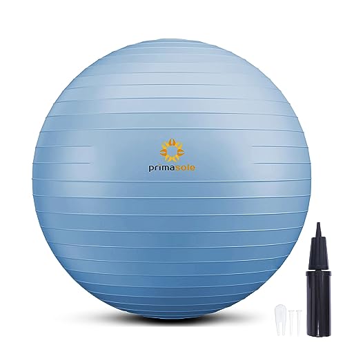 PRIMASOLE 45cm Pale Gray Exercise Ball for Balance and Fitness