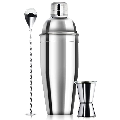Professional 24oz Cocktail Shaker Bar Set with Stainless Steel Tools