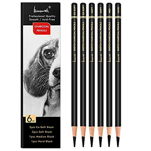Professional Charcoal Pencils Drawing Set