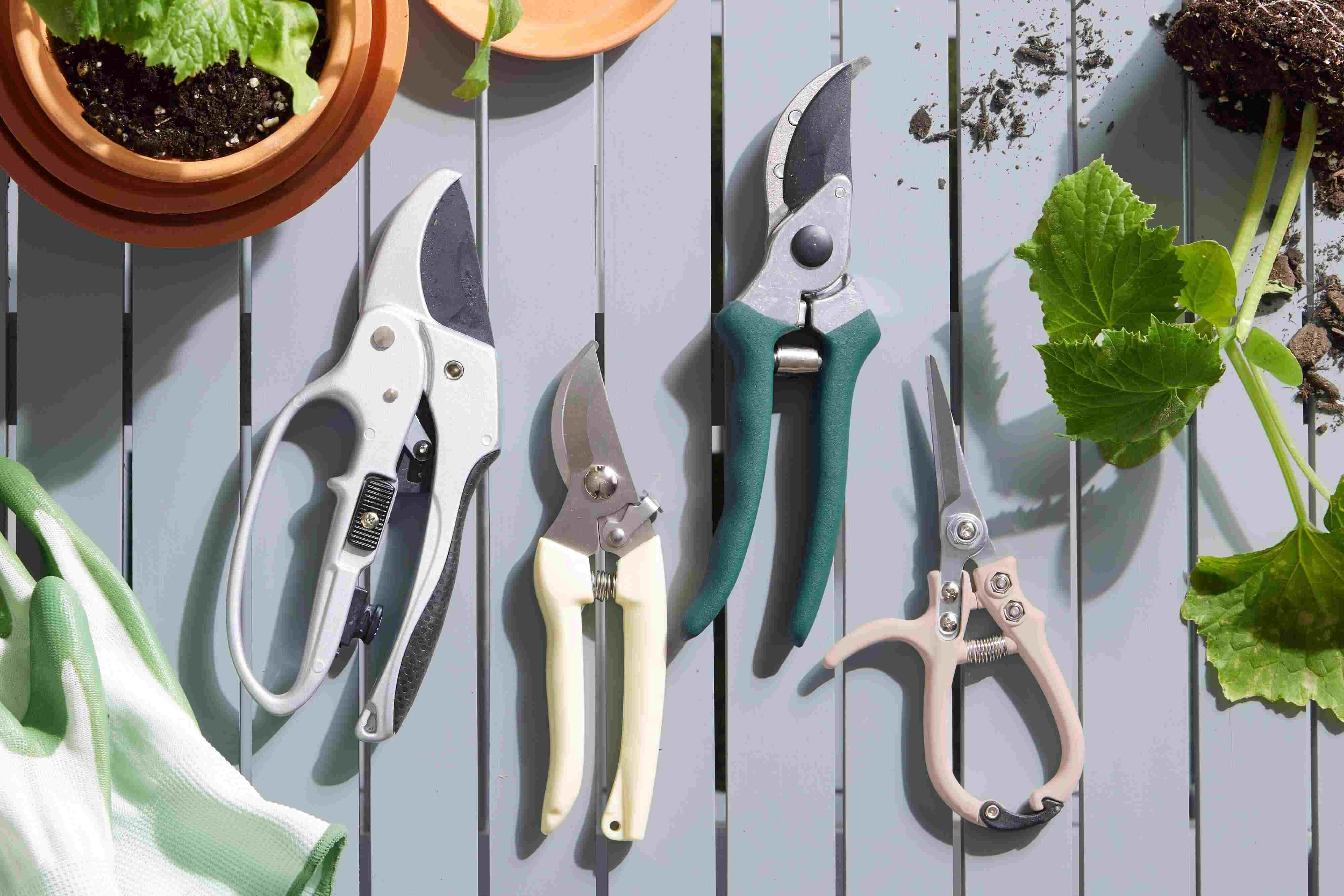 Pruning Shears Review: Essential Tools for Efficient Gardening