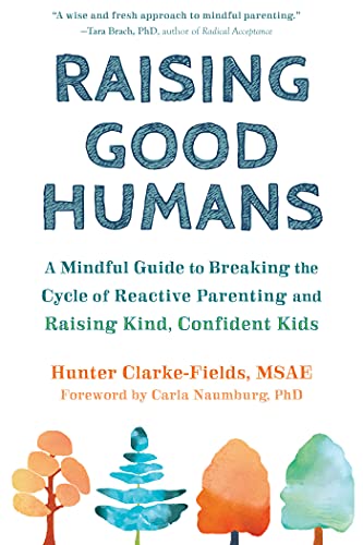 Raising Good Humans Book