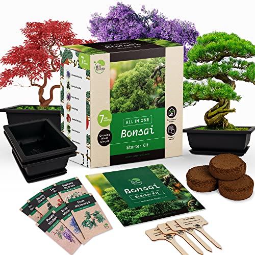 RealPetaled Bonsai Starter Kit - Complete Grow Your Own Tree Live Kit