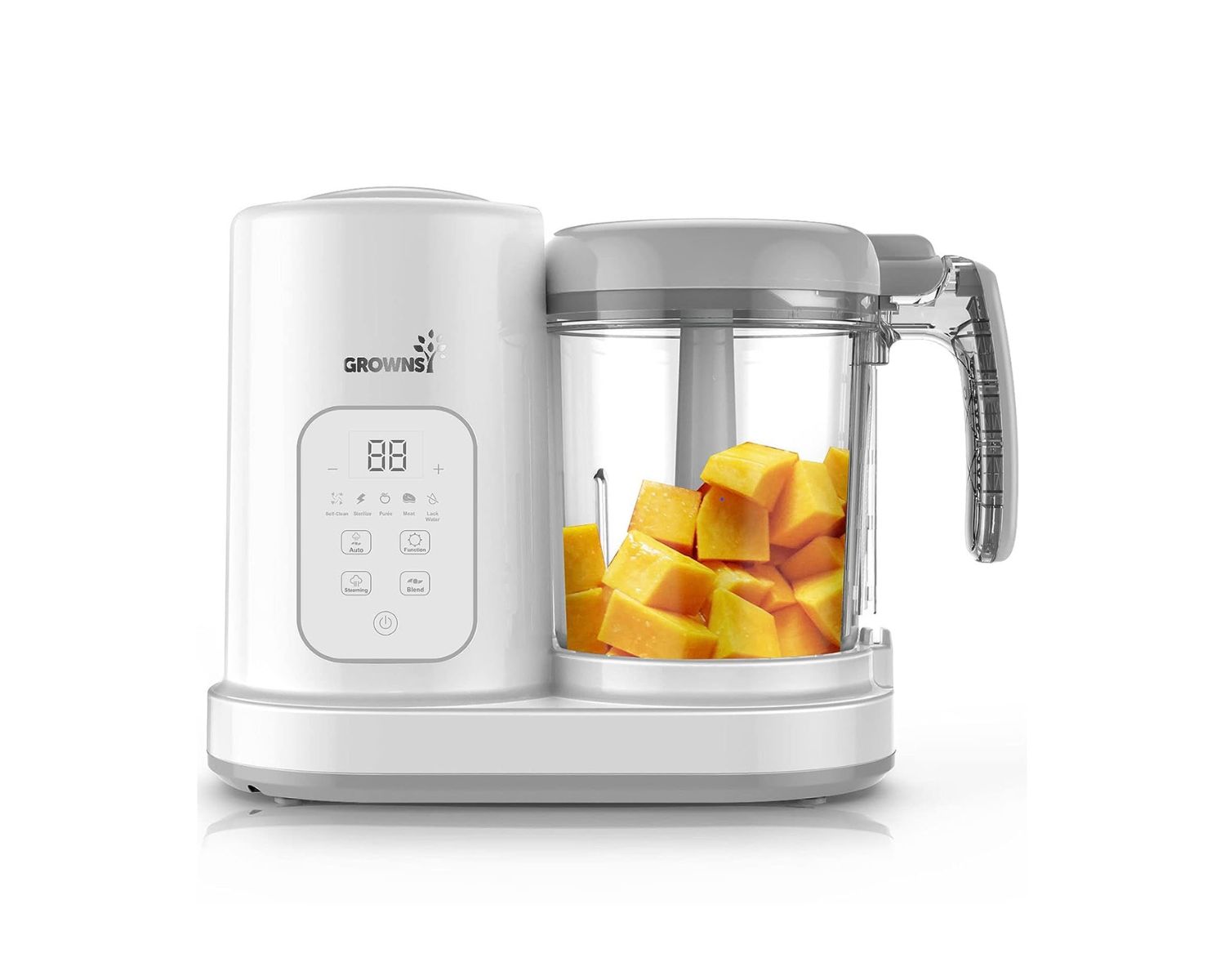 Review: Baby Food Steamer and Blender – A Must-Have Appliance