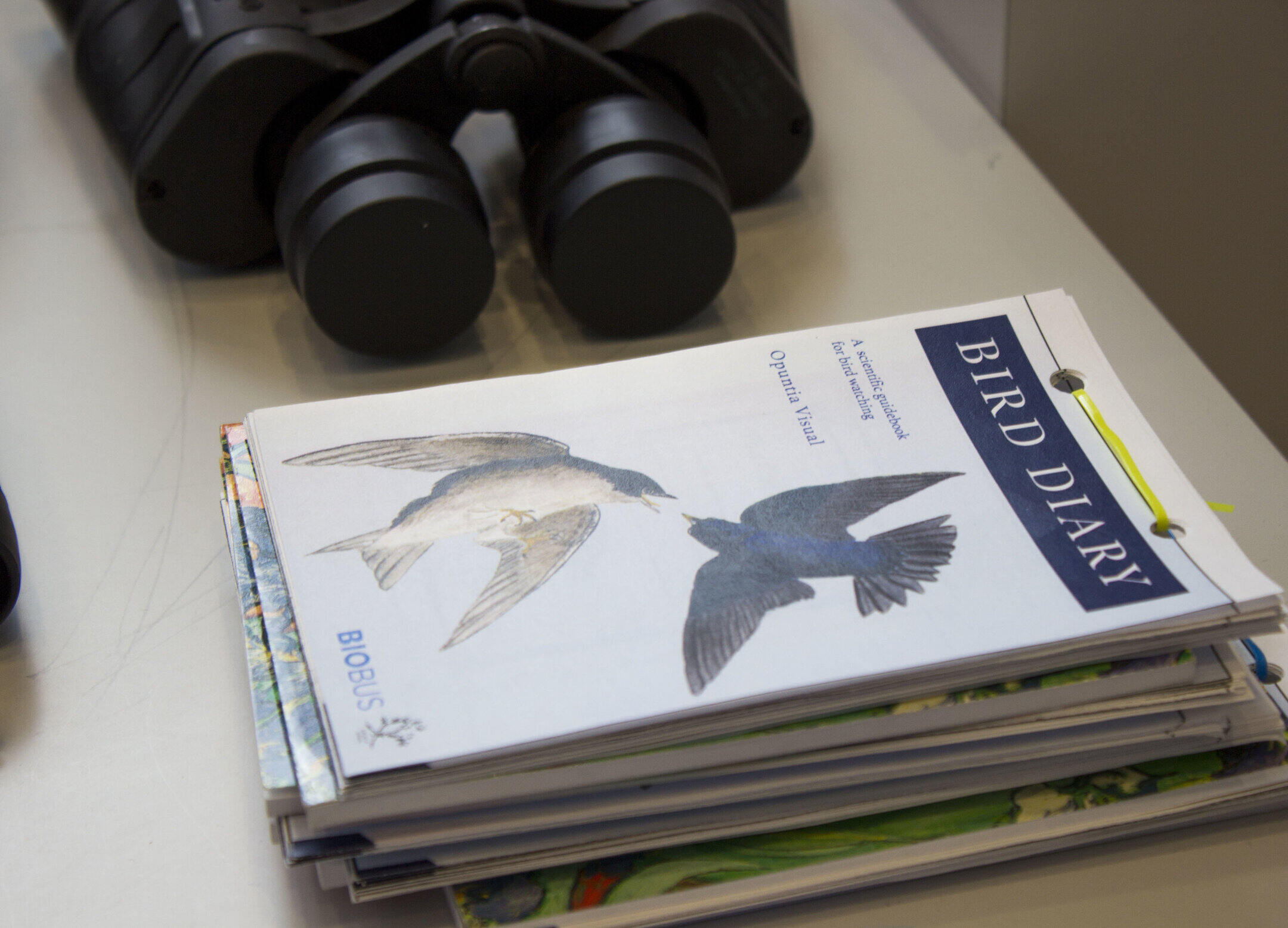 Review: Best Bird Watching Book for Nature Enthusiasts