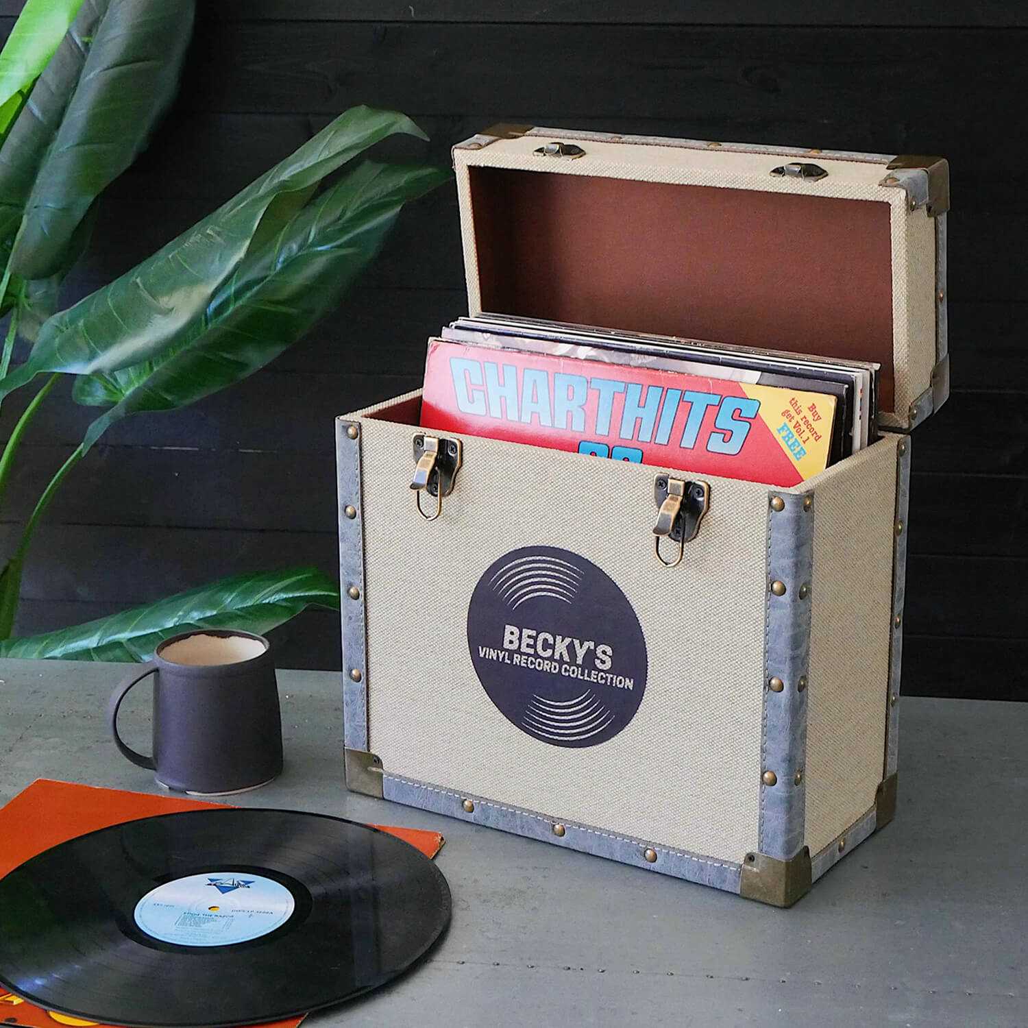 Review: Best Record Storage Box for Organized Vinyl Collection