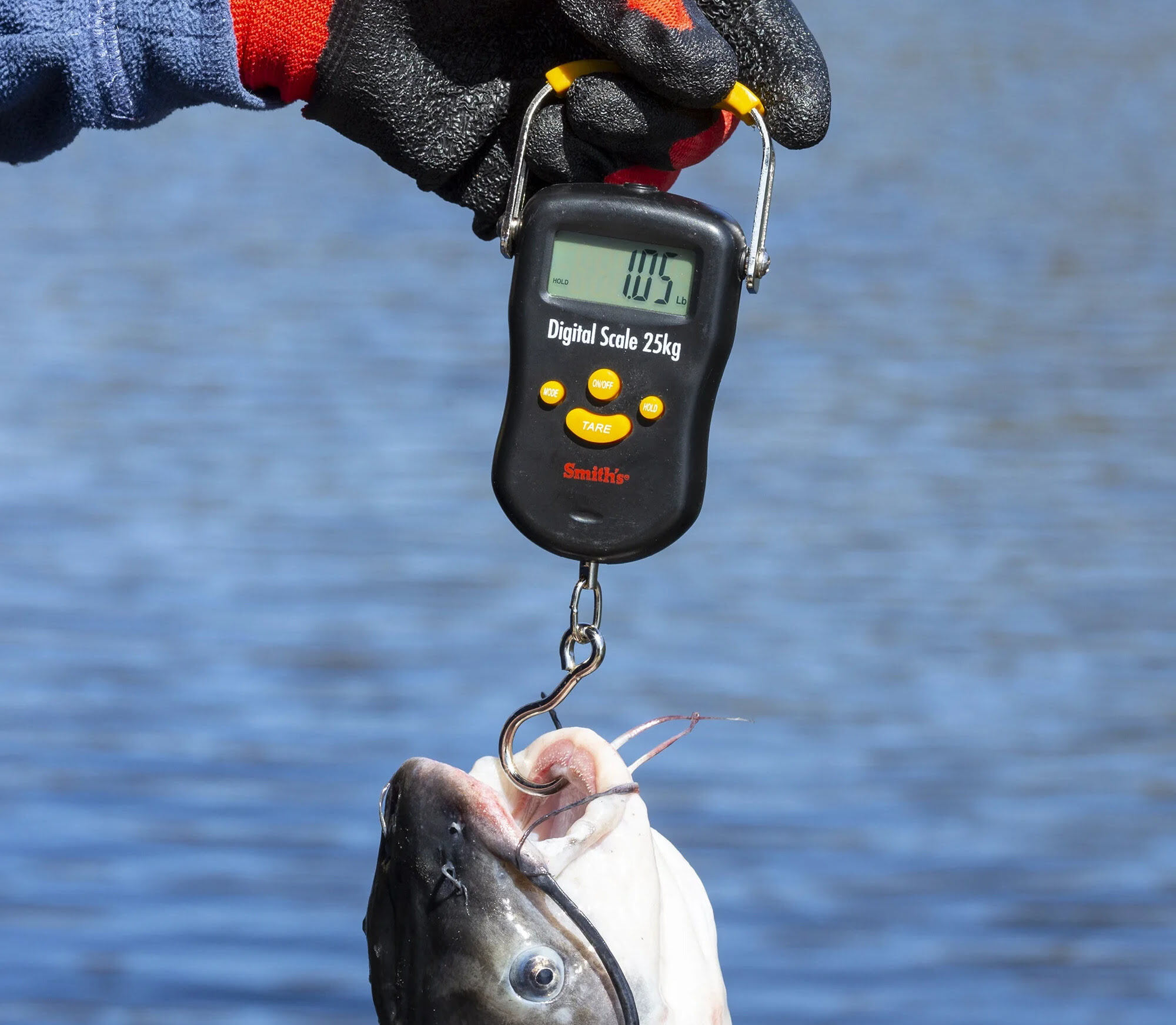 Review: Electronic Fish Scale - Accurate and Convenient
