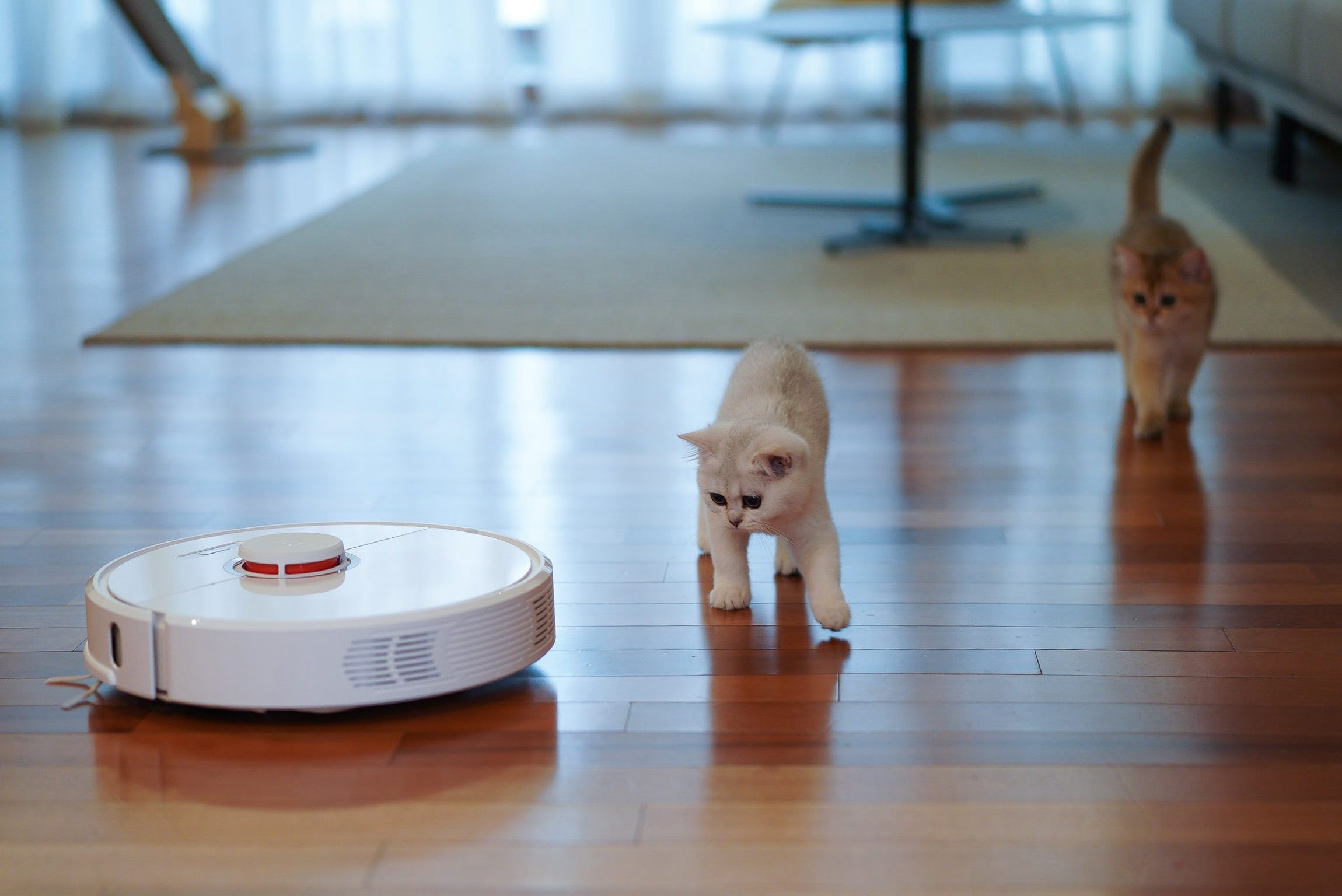 Review: The Best Robotic Vacuum Cleaners of 2021