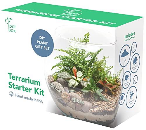 Root Box Terra Kit