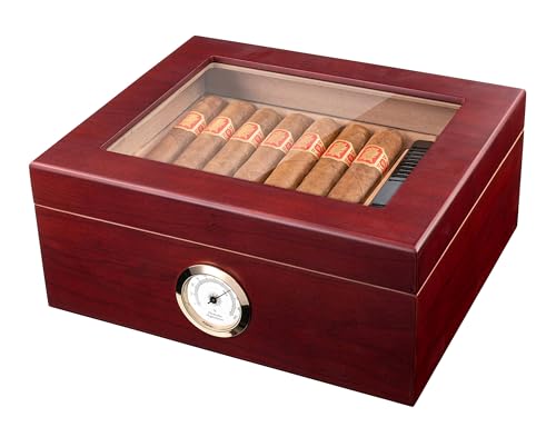 Royal Glass-Top Cigar Humidor