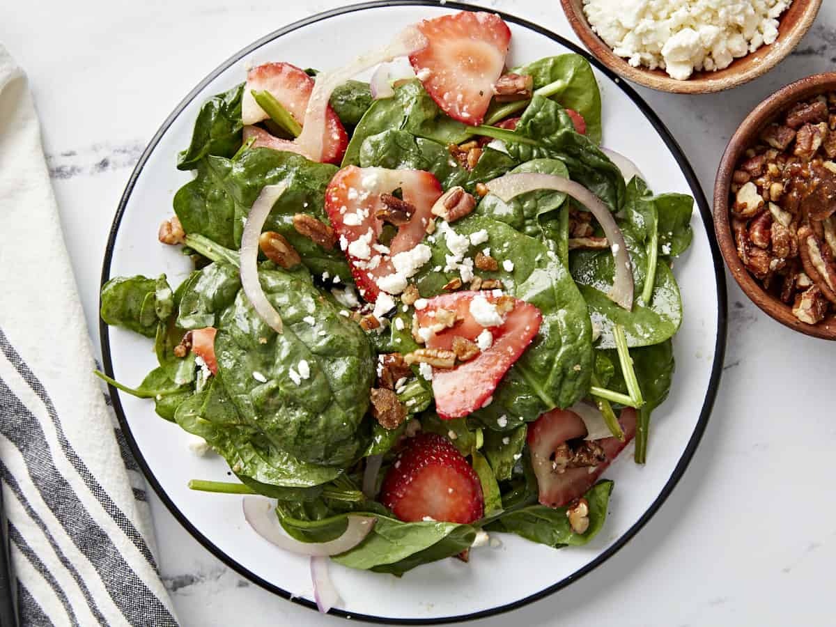 Salad Plates Review: Top Picks for Elegant Dining