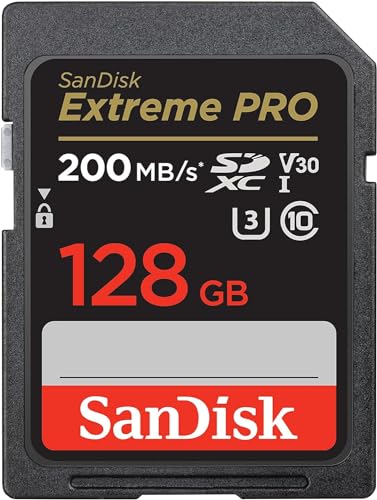 SanDisk 128GB UHS-I Memory Card