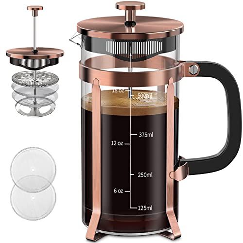 Stainless Steel French Press with 4 Filters