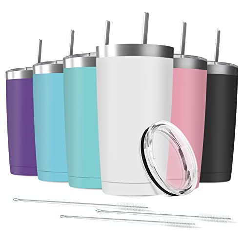Stainless Steel Insulated Tumbler 6 Pack with Straw and Lid