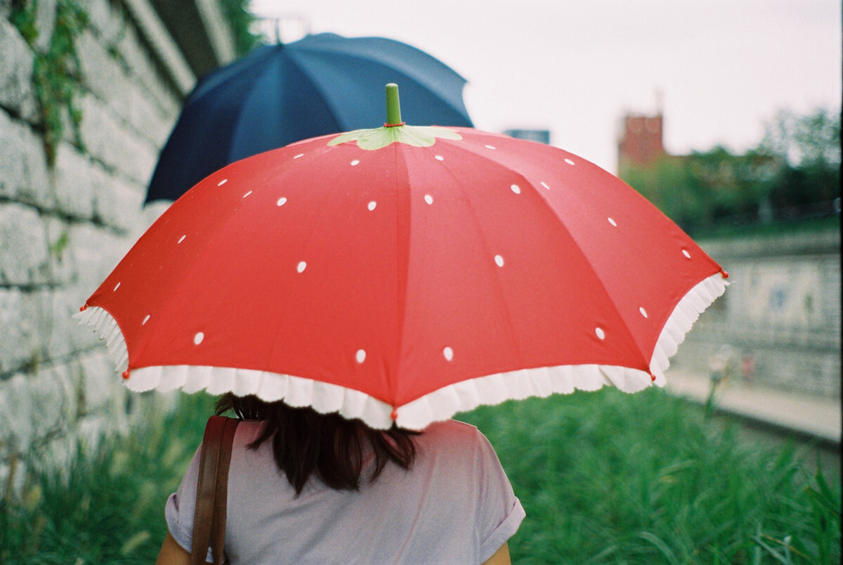 Stylish and Functional Umbrella for Her: A Review