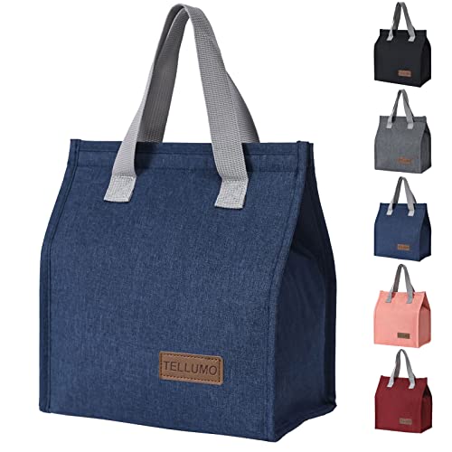 TELLUMO Insulated Lunch Bag