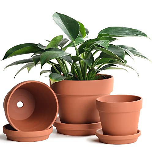 Terracotta Pots Set with Saucer - 5/6/7 inch Ceramic Clay Planters