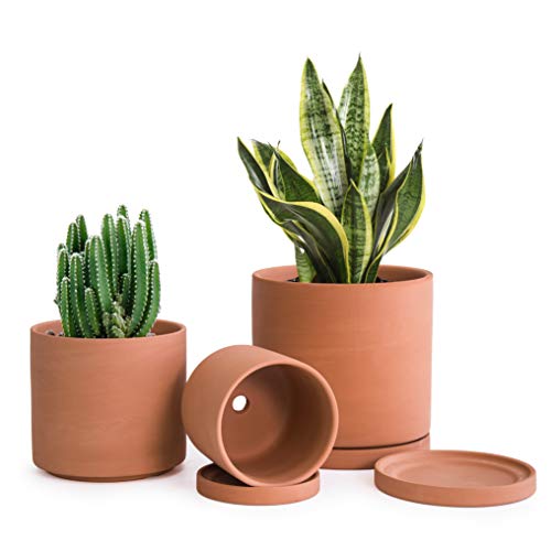 Terracotta Pots with Drainage and Saucer