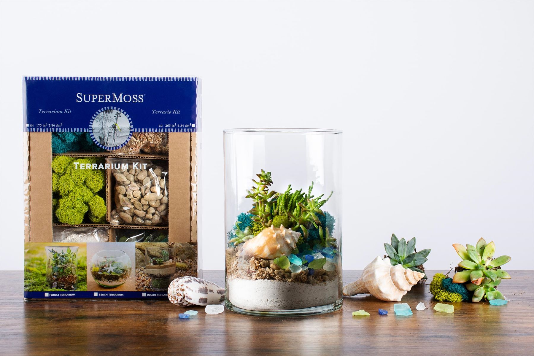 Terrarium Kit Review: A Comprehensive Analysis of the Best Options