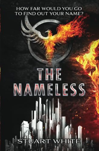 The Nameless Novel