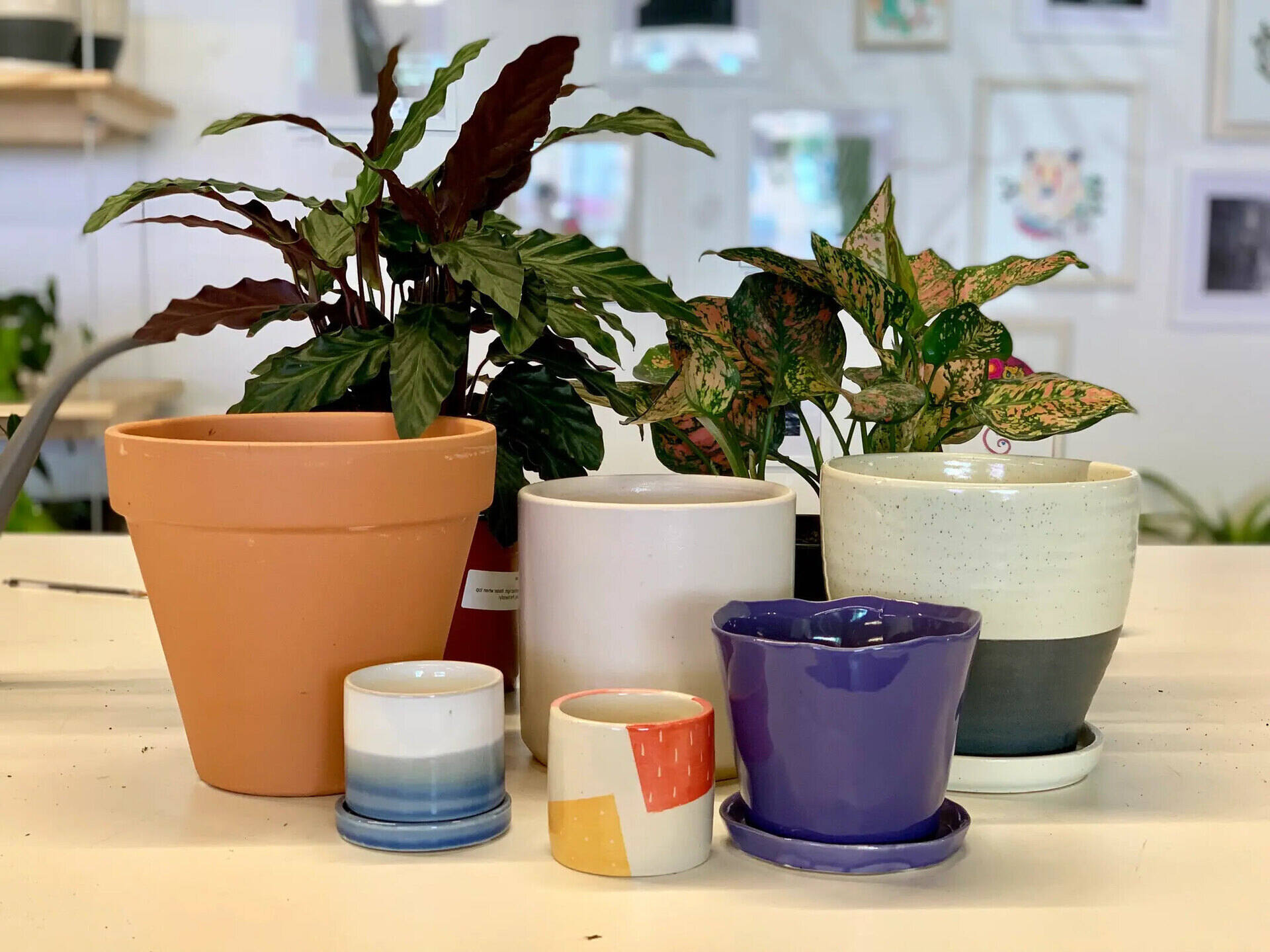 Top Plant Pots Review: Find the Perfect Greenery Containers