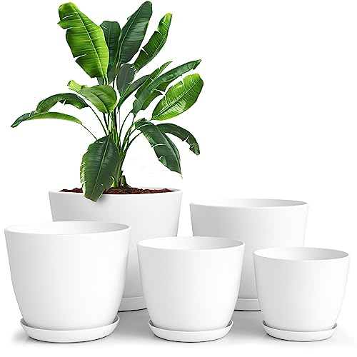 Utopia Home Plant Pots with Drainage