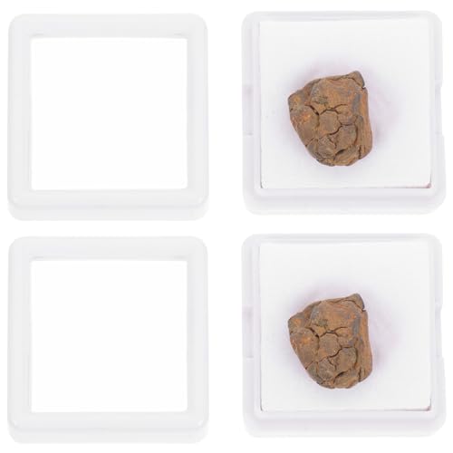 VILLFUL Olive Meteorite Rocks for Kids Educational Toys