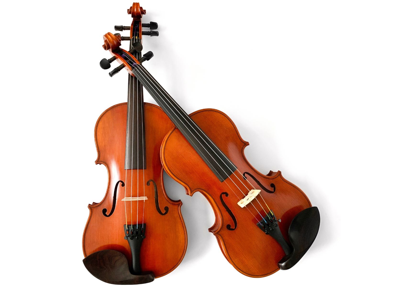 Violin Review: Unbiased Analysis and Recommendations