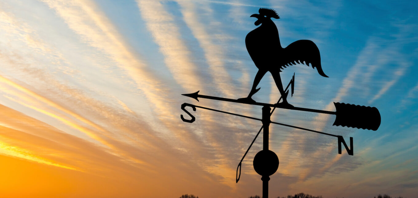 Weather Vane Review: Unbiased Analysis and Recommendations