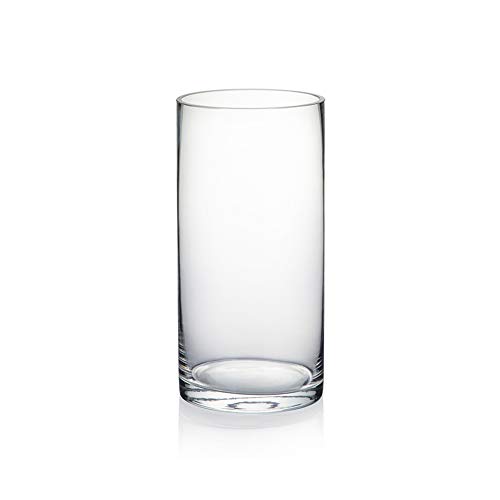 WGVI Glass Cylinder Vase 4x8