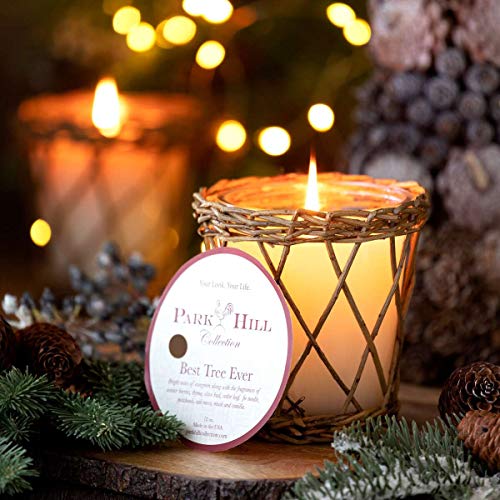 Willow Candle by Park Hill Collection