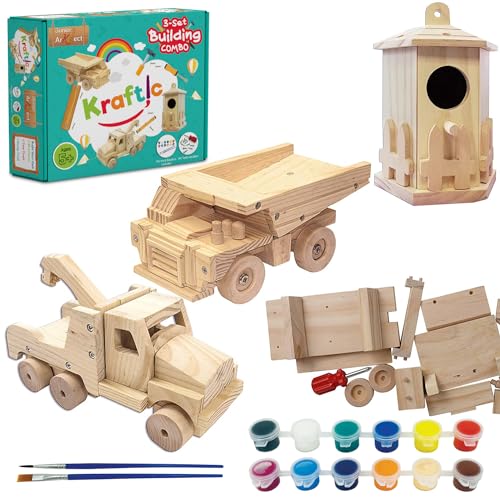 Woodworking Kit for Kids and Adults