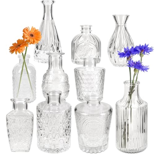 Yirilan Set of 10 Clear Glass Bud Vases for Flowers and Decor
