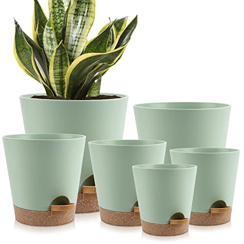 YNNICO Self-Watering Planters with Drainage and Saucers, Set of 6