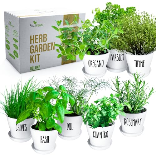 ZESTIGREENS Herb Garden Kit: 8 Variety Herbs, Pots, Soil & Guide